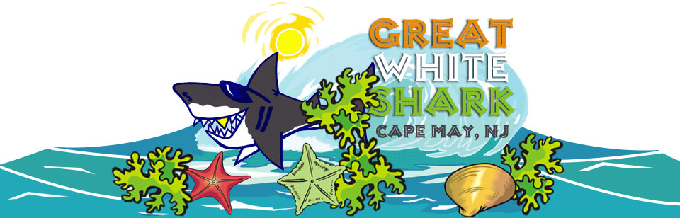 Great White Shark - Cape May T-shirts Sweatshirts Caps Gifts