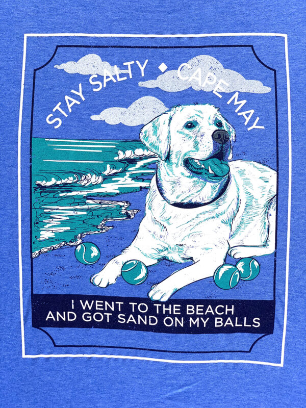 A golden retriever lying on the sand with tennis balls around its paws. Text: Stay Salty. Cape May. I went to the beach and got sand on my balls.